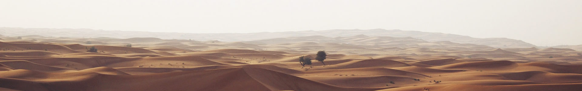 ԶеƼ޹˾
